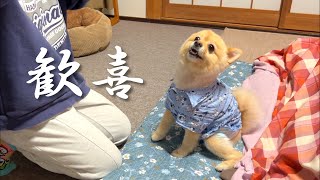 子供達との再会を喜ぶ愛犬が可愛い…笑