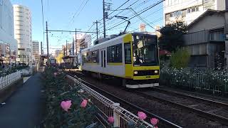 東京さくらトラム(都電)🚃8900形07号車🚃三ノ輪橋 行き🚃💨