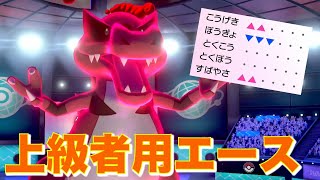 熟練者向け『1鰐3役』型ワルビアル、使いこなせば盤石の無双力を誇る【ポケモン剣盾】