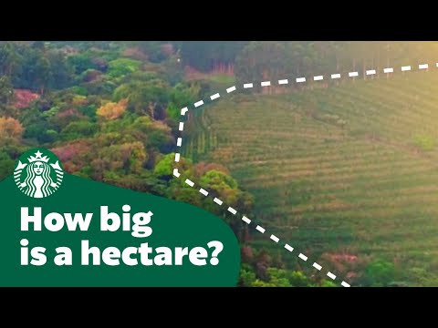 How many hectares is an area?
