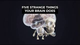 5 Weird Things Your Brain Does Without You Knowing