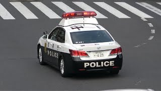 警察官が見ている目前で右折禁止時間帯にも関わらず右折した違反車をパトカーが緊急走行で追跡する格好良い瞬間