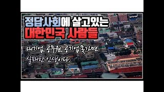 (※공감주의) 정답사회에 살고있는 대한민국 사람들