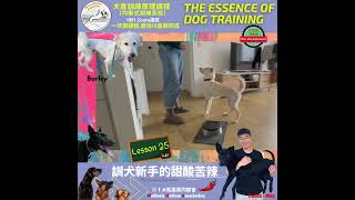 訓犬新手-introduce Foot Target