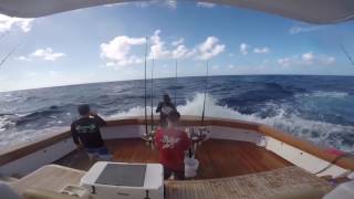 Fa-La-Me: Blue Marlin Fishing