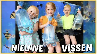 ViSJES ZiJN DOOD! WE GAAN NiEUWE TROPiSCHE ViSSEN KOPEN … 🐟 | Bellinga Vlog #2462