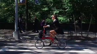 Brompton: Proven in NYC