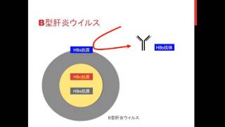 血がついた！?そんな時どうする？