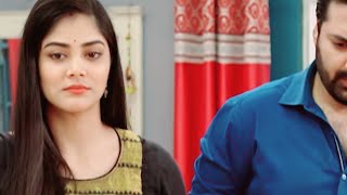 শঙ্খ মোহরের কাছ থেকে কি জানতে চায়?