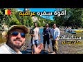 سفره عراقيه مع الأصدقاء | اجواء الصيف في بلجيكا 🇧🇪 | استكشاف الطبيعة الساحرة