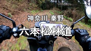 【バイク走行動画】神奈川 「六本松林道（ダート）」を走行【BW'S125X】