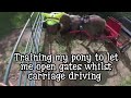 TRAINING MY PONY TO LET ME OPEN GATES WHILST CARRIAGE DRIVING | KM Carriage Driving