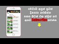 පුතු සිය මවගේ තුරුලේ නිදාගන්නා නිසා කෝපවූ සිළු පියා කටත් හොර රහසේම පුතුට සිදුකල ඇග කිලිපොලා යන දේ.