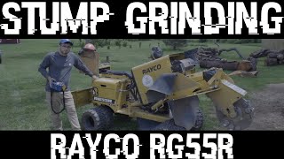 Best Stump Grinder On The Market - 2023 UPDATED - Rayco Rg55r Grinds HUGE Stumps