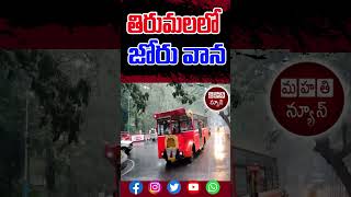 తిరుమలలో జోరు వాన  #tirumala #rain  #mahathinews #ap #ts #latestnews