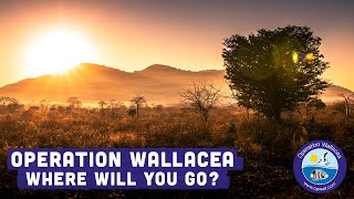 Operation Wallacea - Where will YOU go