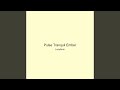 Pulse Tranquil Ember