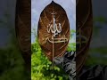 ALLAH HO AKBAR | ISLAMIC VIDEO | ISLAMIC STATUS WHATSAPP #islamicvideo #youtube #shorts #TheGatheret