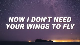 Cash Cash -  Now i don't need your wings to fly (Hero) (Lyrics) feat. Christina Perri