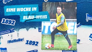 HaHoHe - Eine Woche in Blau-Weiß | 13. Spieltag | Hertha BSC vs. FC Augsburg