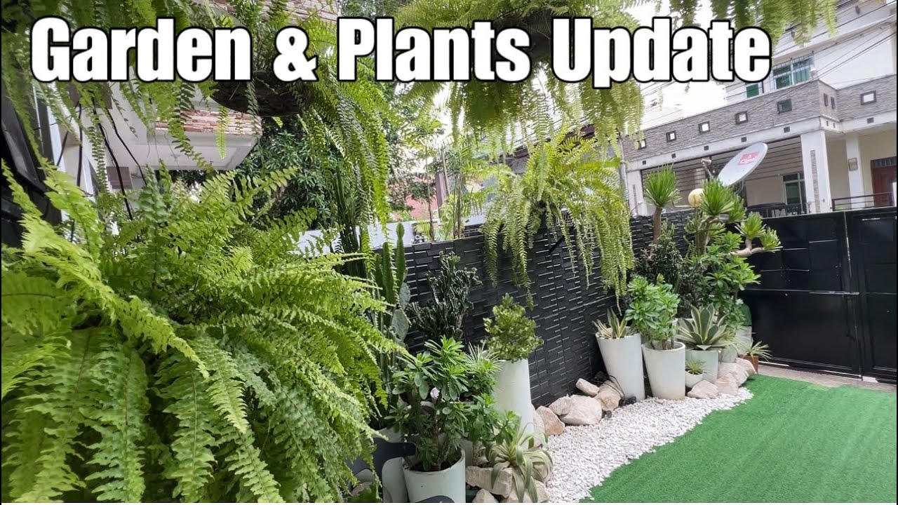 Garden Plants Update Youtube