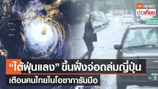 ไต้ฝุ่น "แลง" ขึ้นฝั่งจ่อถล่มญี่ปุ่น เตือนคนไทยในโอซาการับมือ | TNN ข่าวเที่ยง | 14-8-66