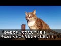 【感動☆厳選5本総集編】正体を隠していた私に絡んでくる自称ヤクザ「みかじめ料払え！俺は〇〇組のヤクザだぞ？」私「うちの組なら話が早いわねw」「え？」【いい話・泣ける話・朗読・有料級・涙腺崩壊】