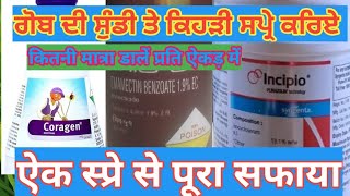 ਗੋਬ ਦੀ ਸੁੰਡੀ ਪੂਰੀਜਾਨਕਾਰੀ paddy stum borer control,leaf folder,sygenta incipio,Fmc coragen,benzoate