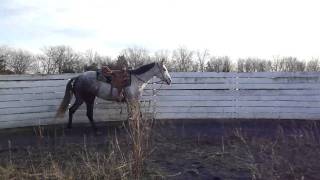 M4H09373.MP4