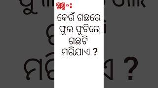 #odia gk video part - 156 # କେଉଁ ଗଛରେ ଫୁଲ ଫୁଟିଲେ ଗଛଟି ମରିଯାଏ