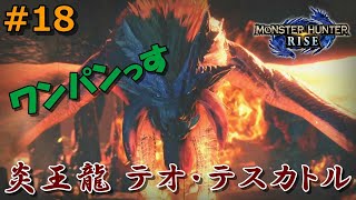 #18【モンスターハンターライズ】いつの間にソロに⁉制限時間内に倒せるか⁉『炎王龍・テオ テスカトル（上位）』