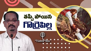 తప్పిపోయిన గొర్రె పిల్ల|| VISHWA VANI TELUGU MESSAGE||  The lost lamb ||