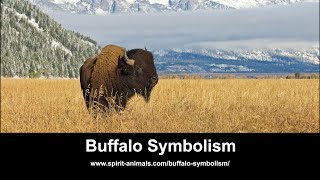 Buffalo Symbolism