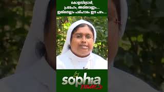 കൊളസ്ട്രോൾ,പ്രമേഹം,അമിതവണ്ണം...ഇതിനെല്ലാം പരിഹാരം ഈ പഴം...