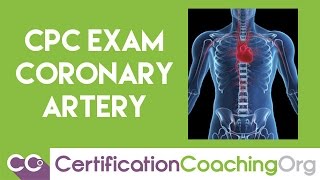 CPC Exam Coronary Arteries Questions and Answers