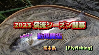 【Flyfishing】2023 渓流シーズン開幕【熊本県】