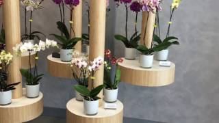 Opti-flor Creating Center en Concept Store