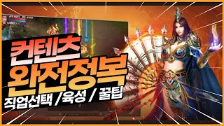 미르2 왕의귀환 모든 컨텐츠 정리 (직업선택 가이드와 초반 도사 육성과 꿀팁 등 )