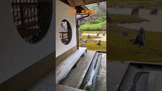 【京都観光】神社仏閣、光明院のお庭 雨やからこそのゆっくりできる景色サイコーです