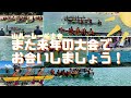 【徳之島】徳之島町どんどん祭り 山漁港ハーレー船大会の様子 2023年8月27日 haarii boat tournament in san fishing harbor tokunoshima