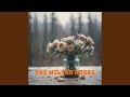 The Wilted Roses