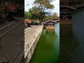 floating market colombo | Bere wewa #floatingmarket #berewewa #beiralake #pettah #srilanka #shorts