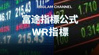 WR指標｜富途指標｜公式分享｜指標｜富途｜富途牛牛｜富途牛牛指標｜編寫教學與分享｜富途指標教學｜富途牛牛指標分享｜股票教學影片｜股票分析｜股票投資｜Futu｜Futucode 【廣東話 】