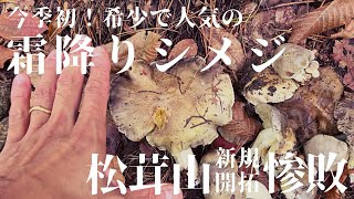 10/13きのこ狩り【前編】霜降りシメジ登場！他、多数のきのこと出会う