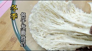 冬天如何發包子面？加多少酵母？面點師教你小技巧，好捏又飽滿 #美食 #做飯 #中餐 #家常菜 #菜譜