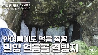 한여름에도 얼음 꽁꽁 시례빙곡 밀양 얼음골 결빙지  | 🗺️트립인코리아 시즌3 밀양·창원🌿📷