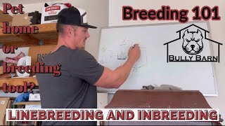 Throw away dog? Too many flaws? Linebreeding and inbreeding. Breeding 101. Tips with Trent.