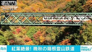 彩鮮やかに紅葉織りなす渓谷　箱根登山鉄道の映像(17/12/02)