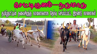 ETSS reckla race - செட்டிகுளம் (நடுமாடு-14.01.2022) bulls race