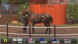 【セレクトセール2024】牝馬歴代2位の4億円ホースが誕生！